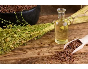 Flaxseed and flaxseed oil